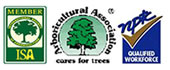 image of certification for tree surgeon